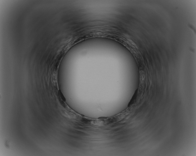 X0000093460419200710120954