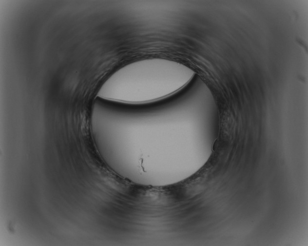 X0000093460420200710120954