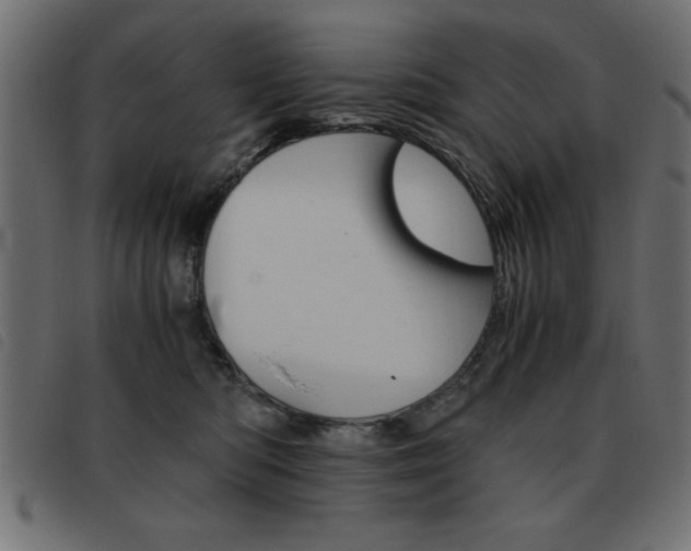 X0000093460422200710120954