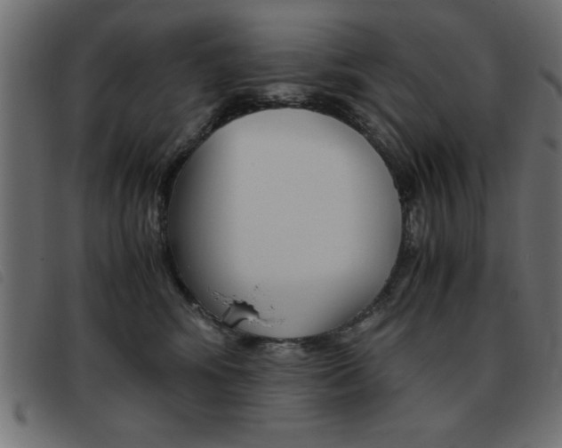X0000093460424200710120954