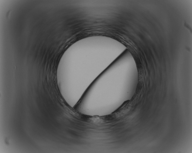 X0000093460425200710120954