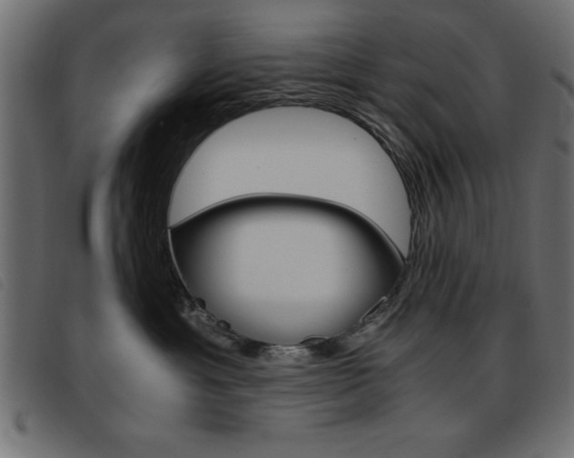 X0000093460429200710120954