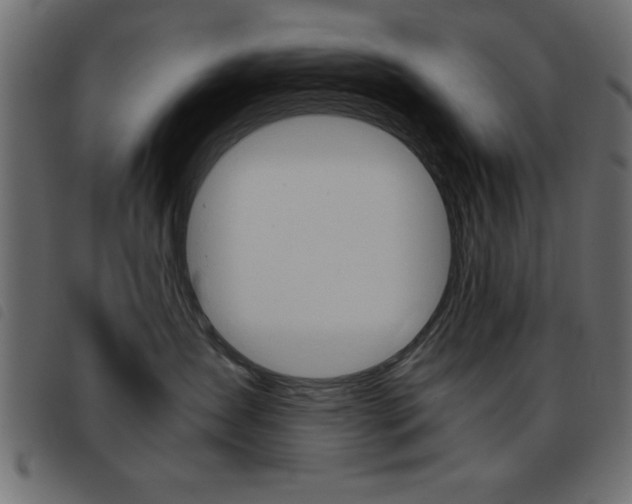 X0000093460431200710120954