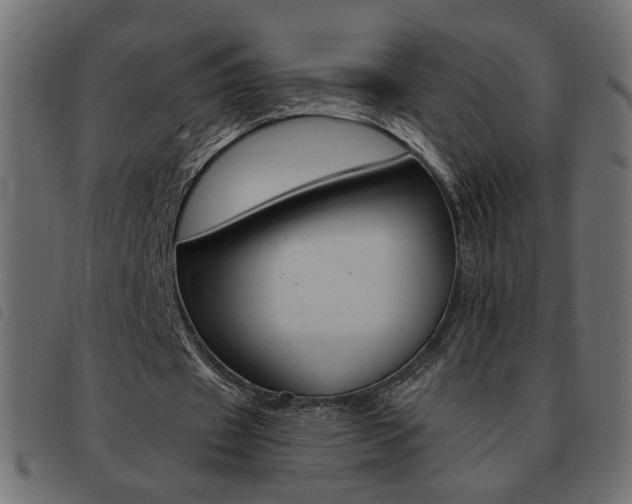 X0000093460433200710120953