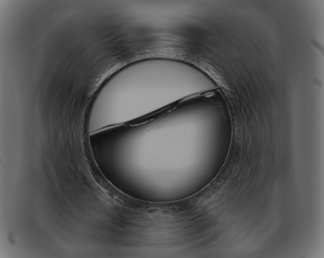X0000093460434200710120953