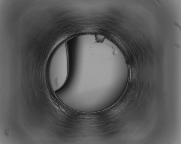 X0000093460435200710120953