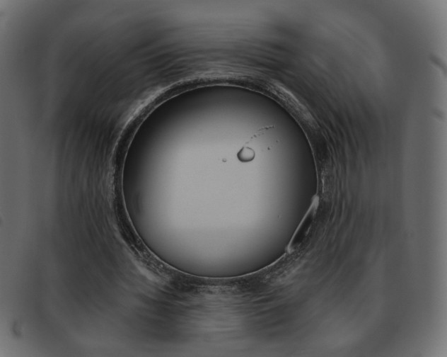 X0000093460436200710120953