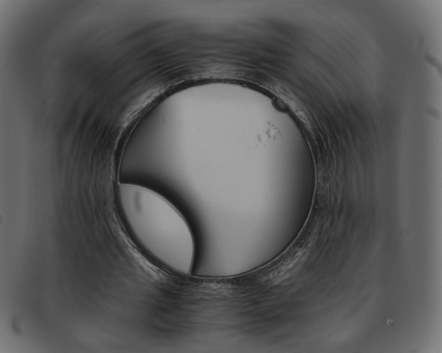 X0000093460437200710120953