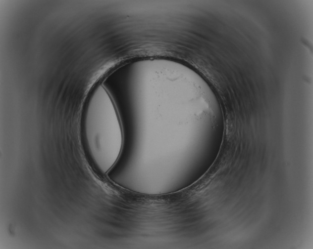 X0000093460438200710120953