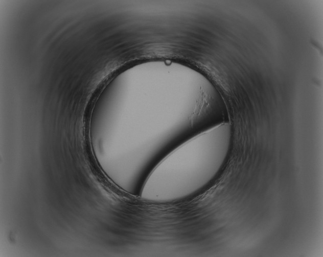 X0000093460439200710120953
