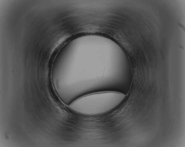 X0000093460440200710120953