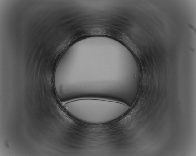 X0000093460441200710120953