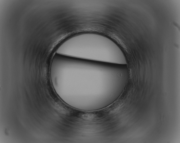 X0000093460444200710120953