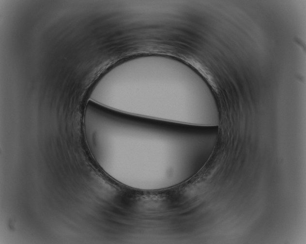 X0000093460445200710120953