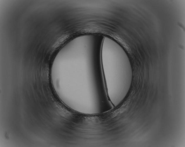 X0000093460446200710120953