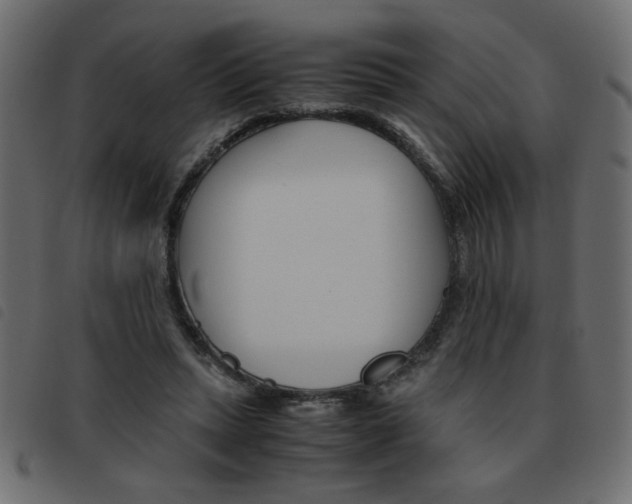 X0000093460447200710120953