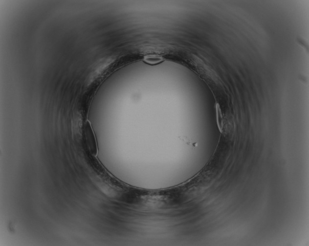 X0000093460448200710120953