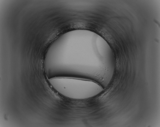 X0000093460449200710120953