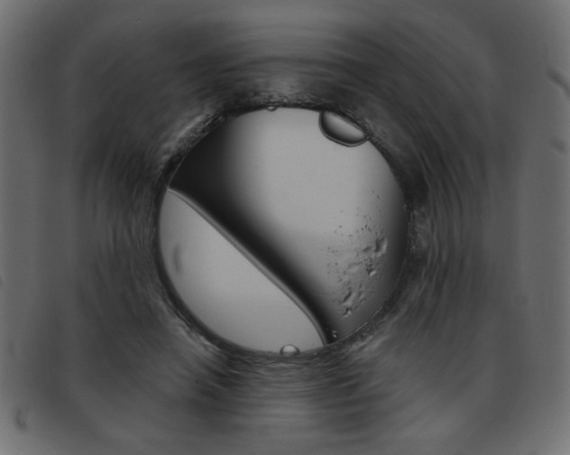 X0000093460450200710120953