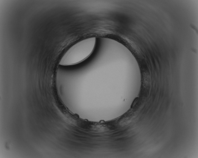 X0000093460451200710120953