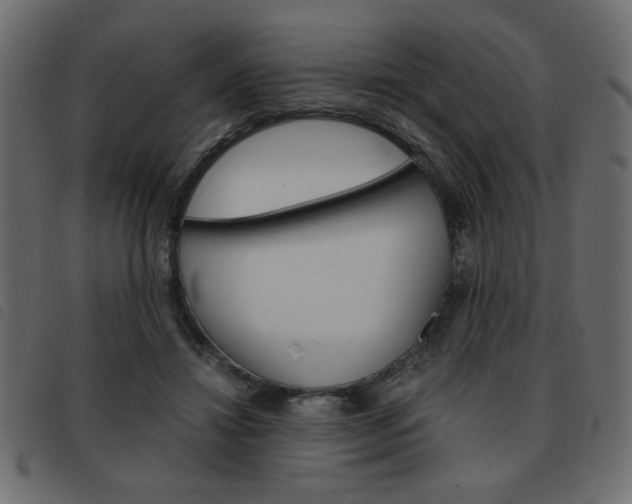 X0000093460452200710120953
