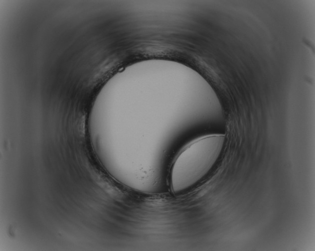 X0000093460454200710120953