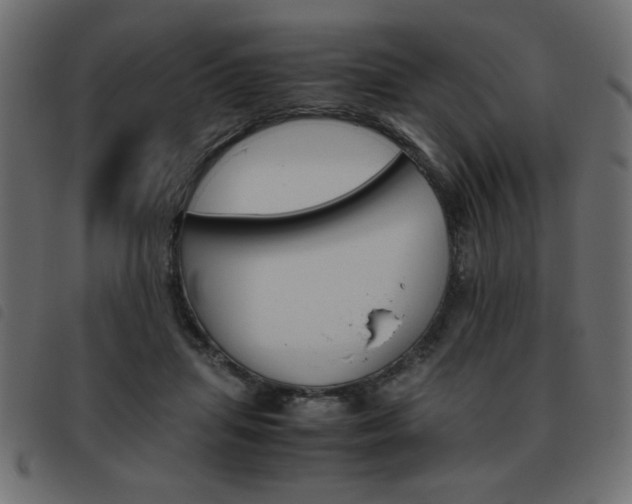 X0000093460455200710120953