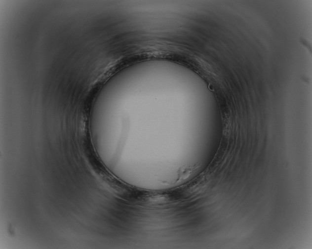 X0000093460456200710120953