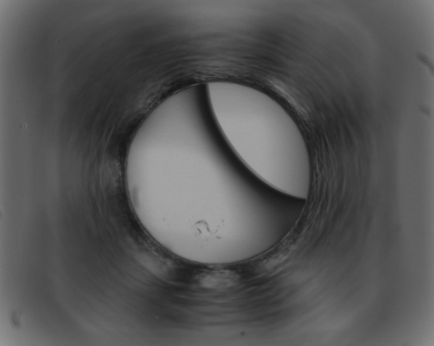 X0000093460459200710120953