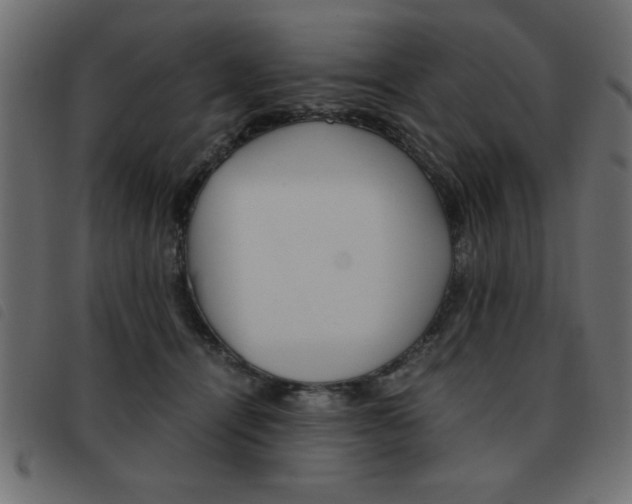 X0000093460464200710120953