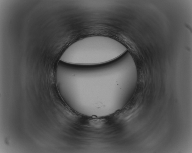 X0000093460465200710120953