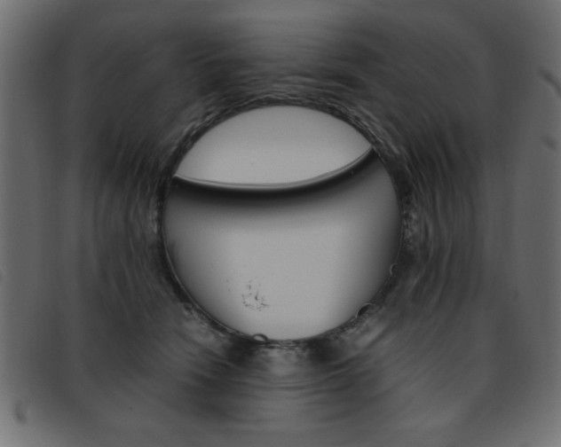 X0000093460466200710120953