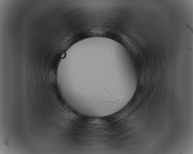 X0000093460467200710120953