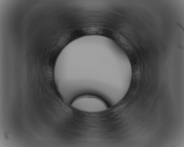 X0000093460469200710120953