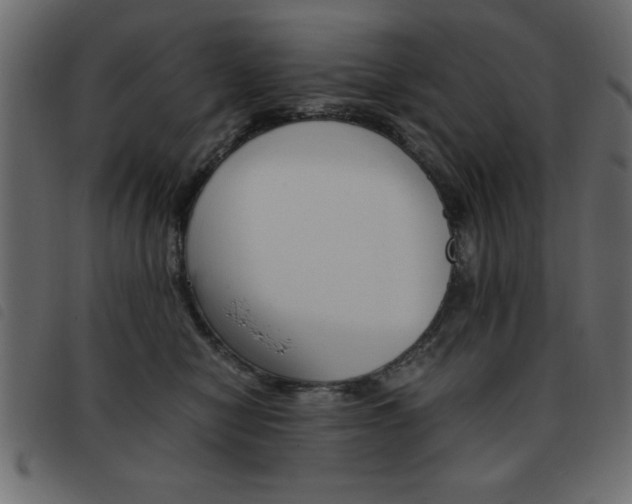 X0000093460470200710120953