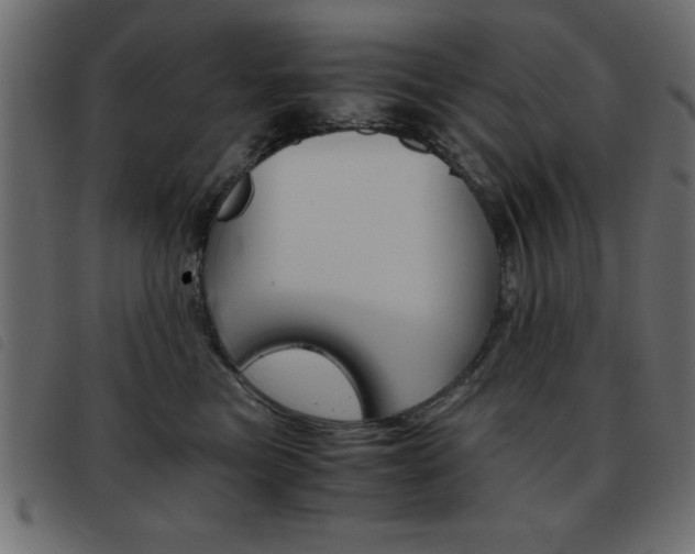 X0000093460473200710120953