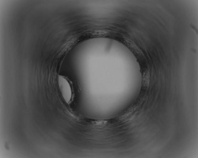 X0000093460474200710120953