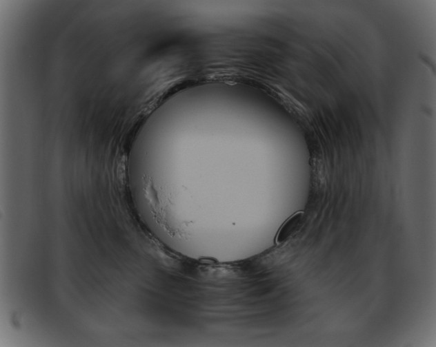 X0000093460475200710120953