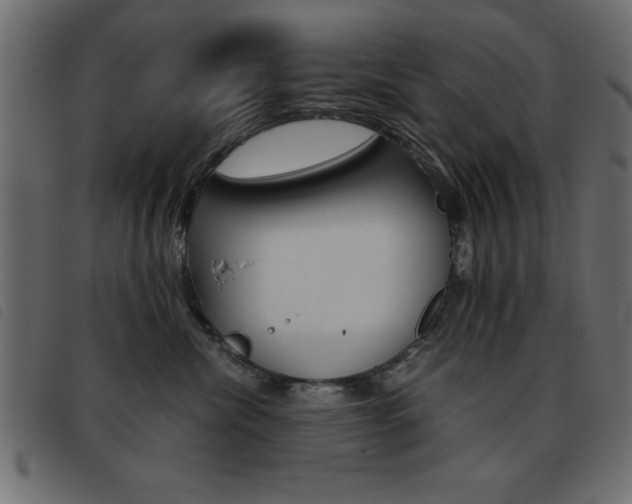 X0000093460476200710120953