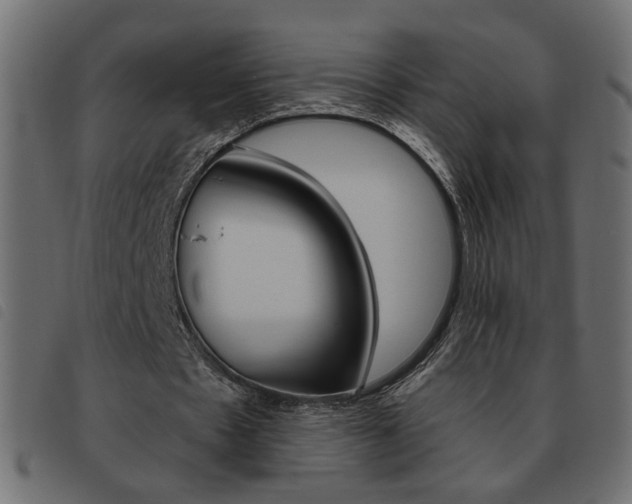 X0000093460481200710120953