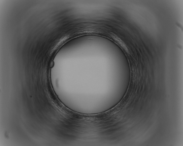 X0000093460482200710120953