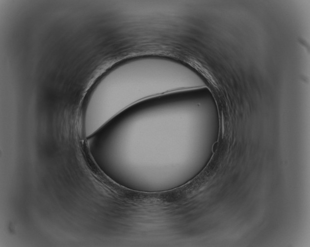 X0000093460483200710120953