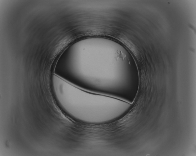 X0000093460485200710120953