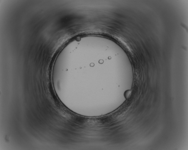 X0000093460487200710120953