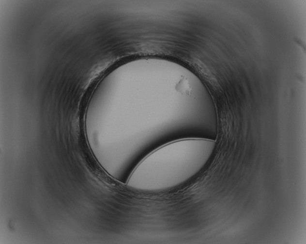 X0000093460488200710120953