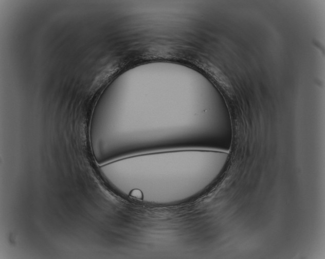 X0000093460489200710120953