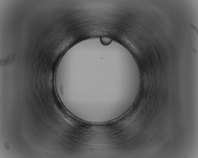 X0000093460490200710120953