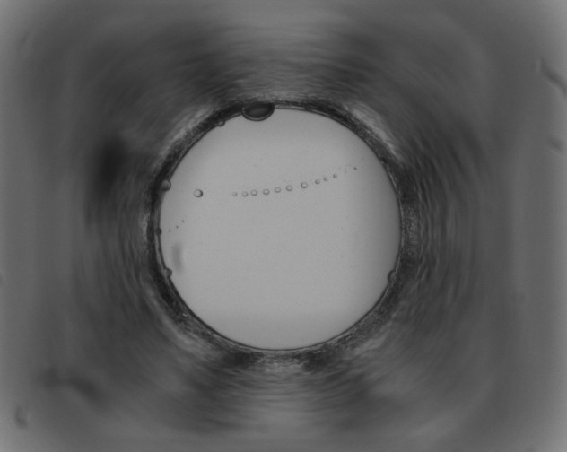 X0000093460491200710120953