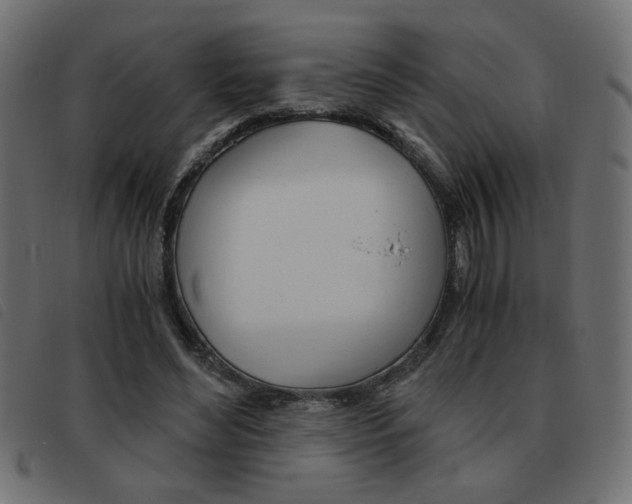 X0000093460492200710120953