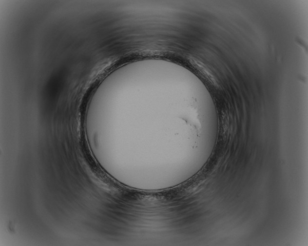 X0000093460494200710120953